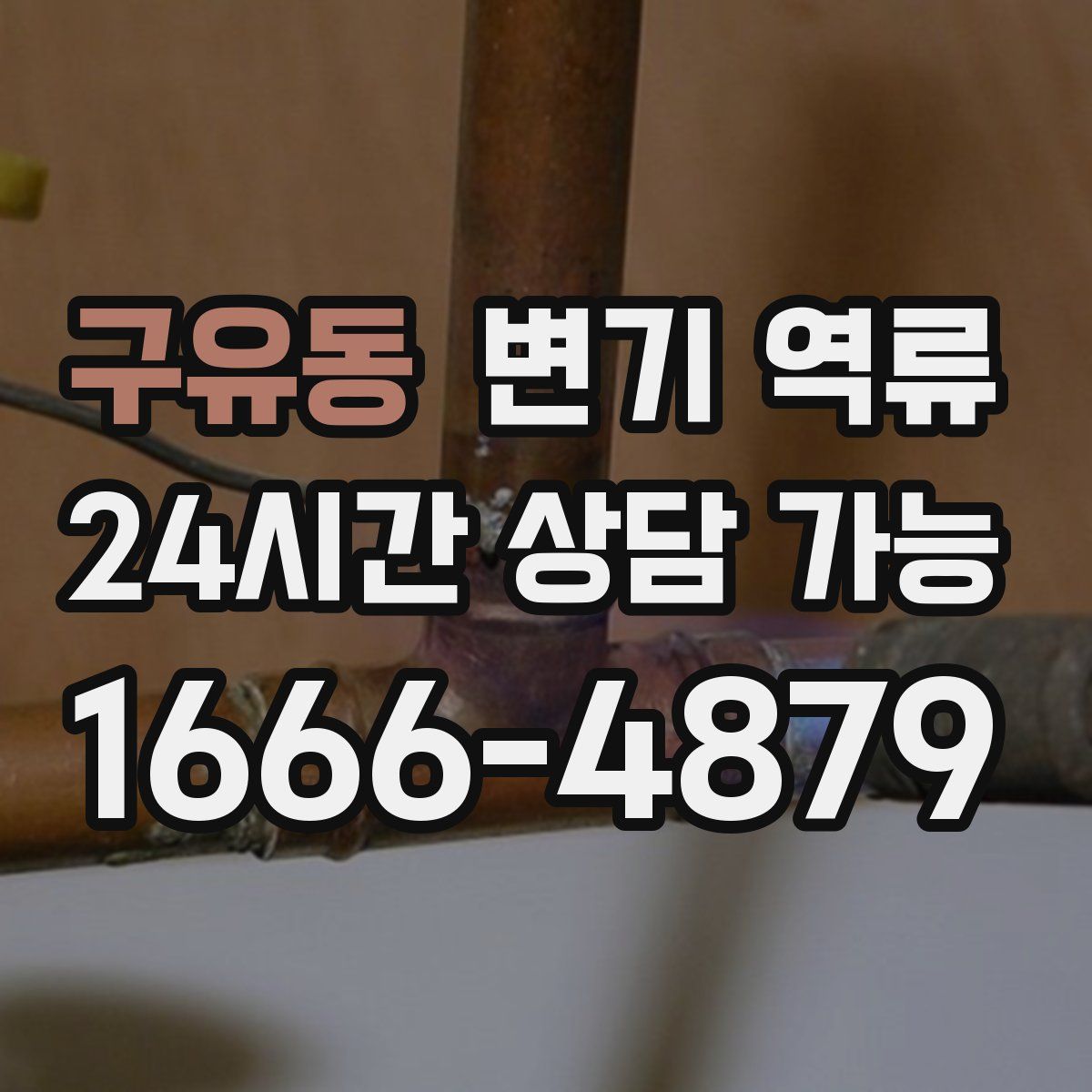 구유동 변기 역류