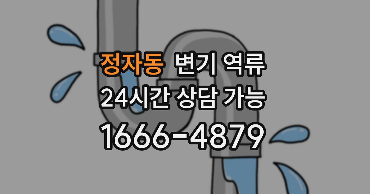 정자동 변기 역류