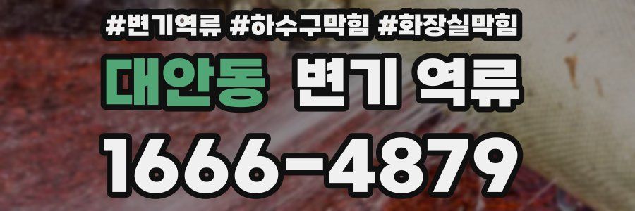 대안동 변기 역류