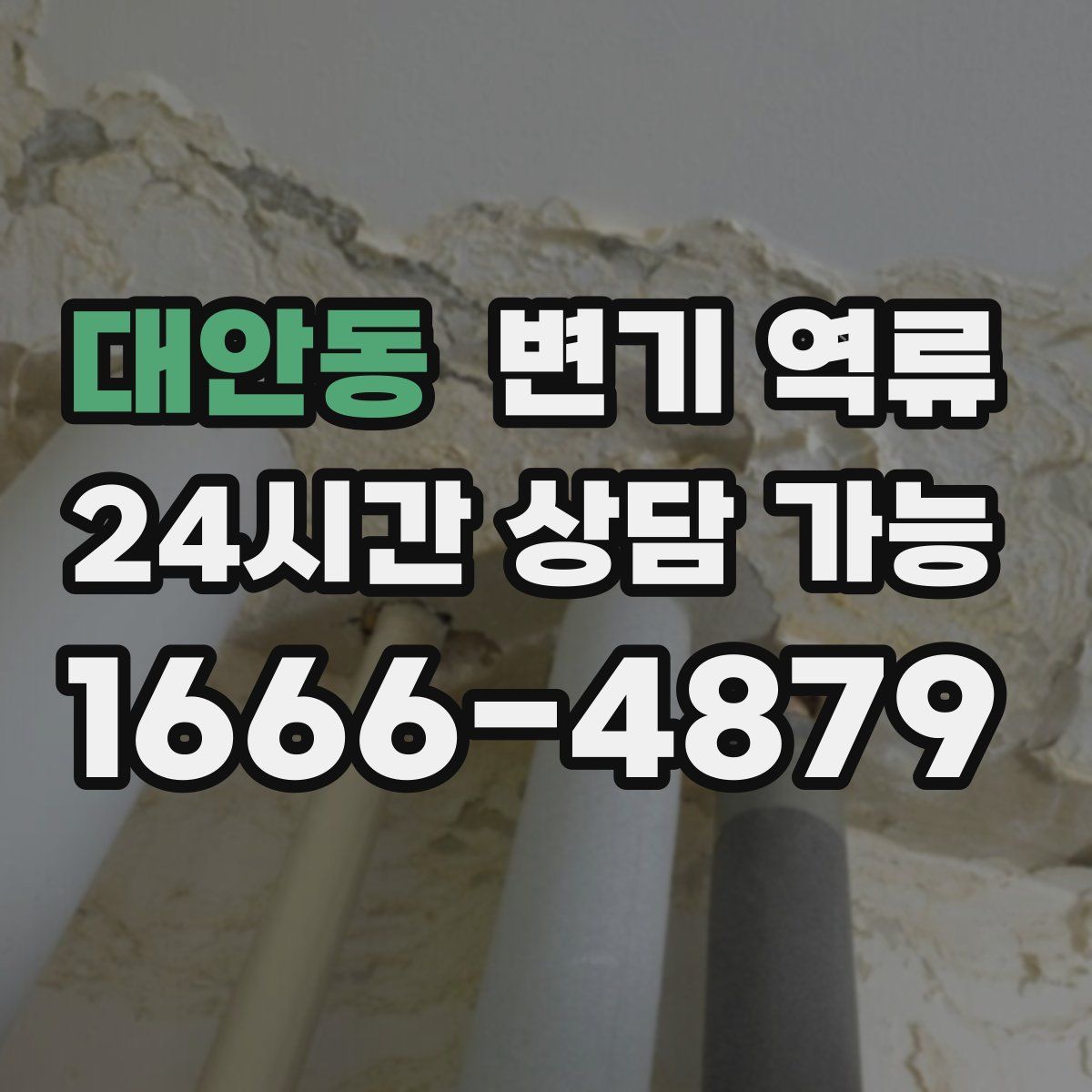 대안동 변기 역류