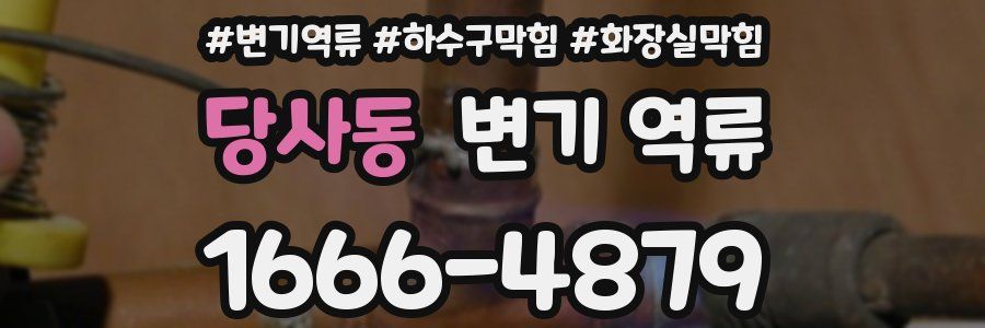 당사동 변기 역류