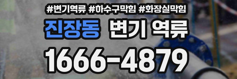 진장동 변기 역류