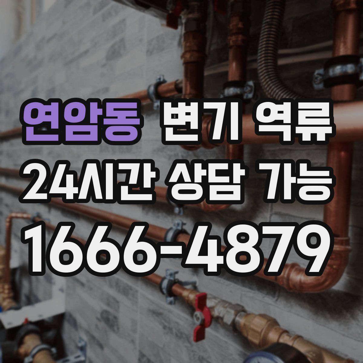 연암동 변기 역류