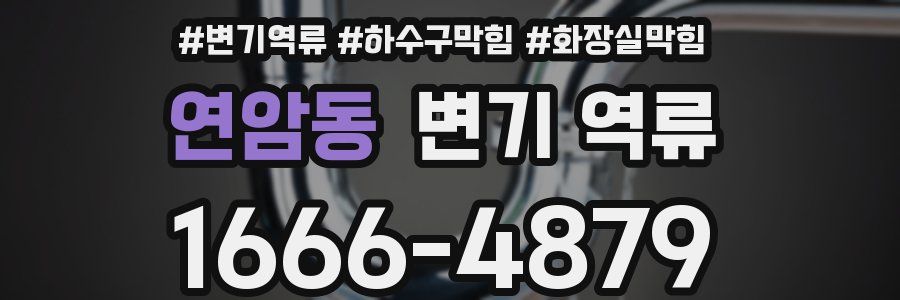 연암동 변기 역류