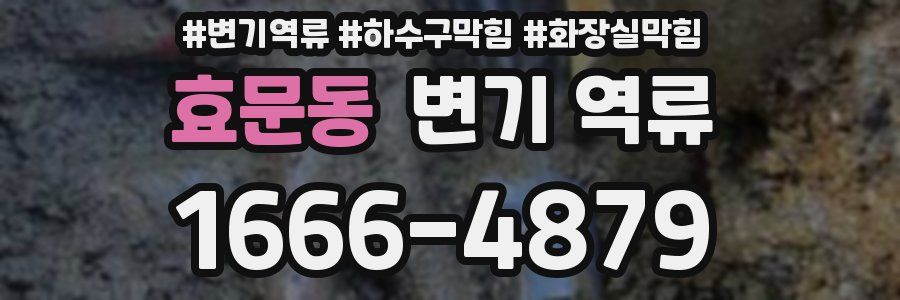 효문동 변기 역류