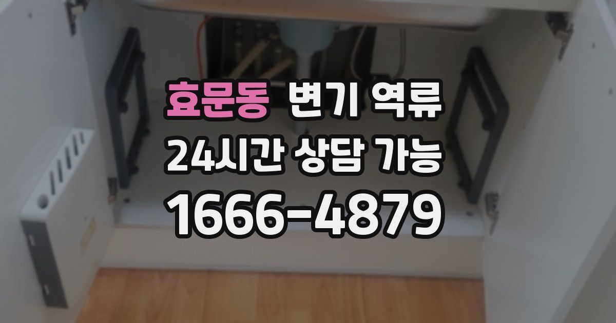 효문동 변기 역류