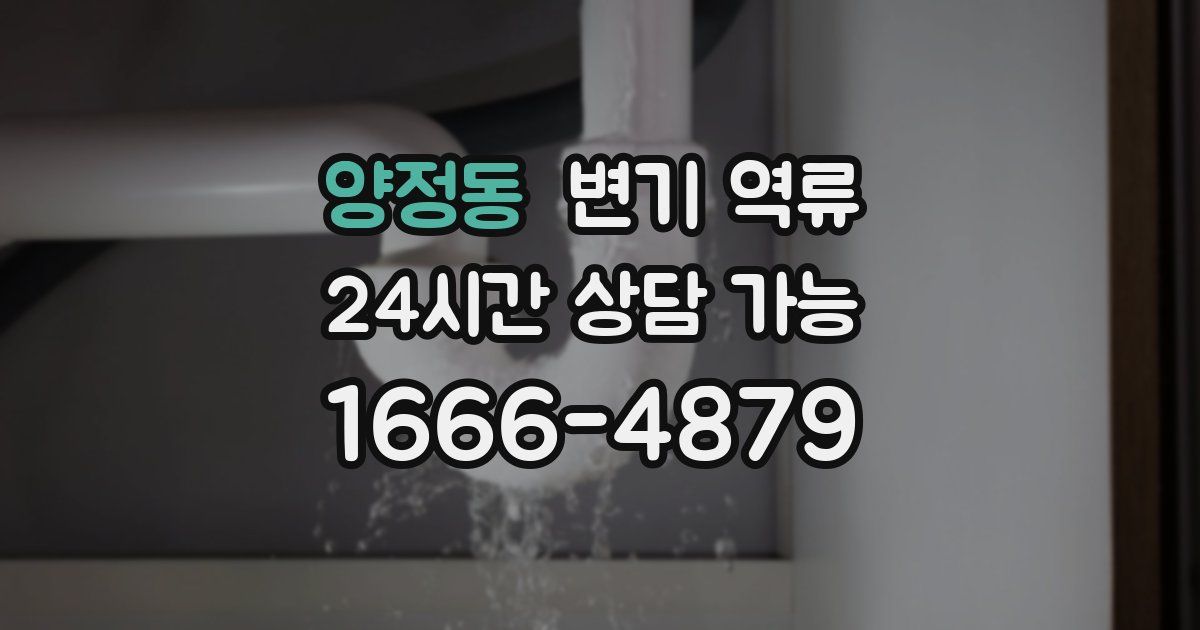 양정동 변기 역류