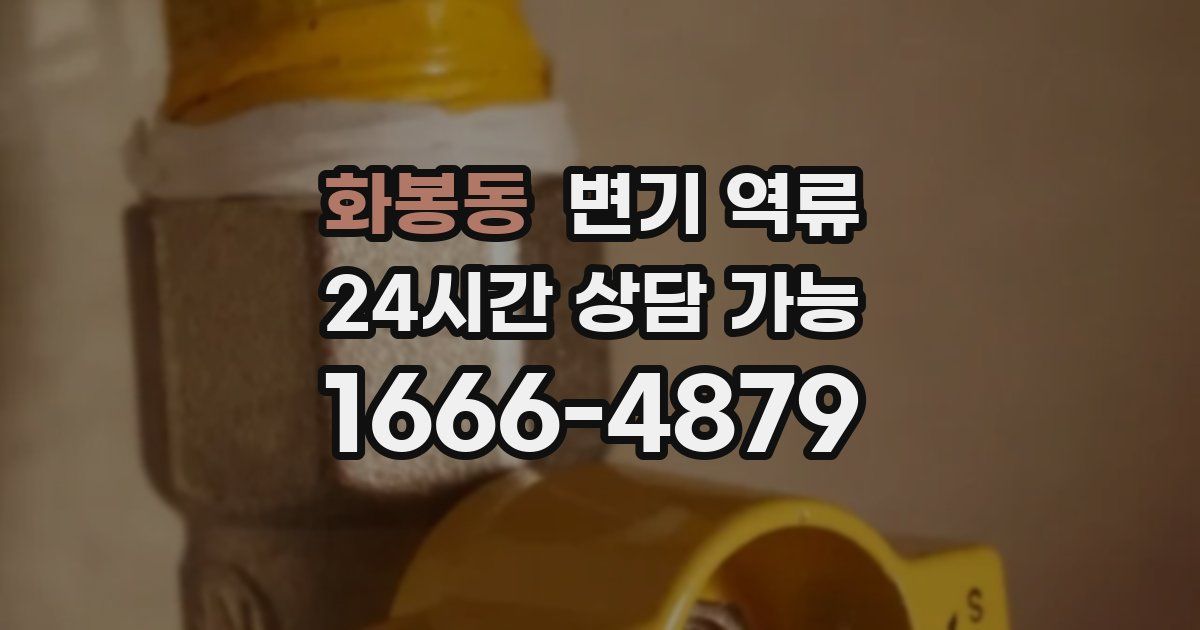 화봉동 변기 역류