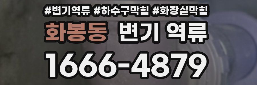 화봉동 변기 역류