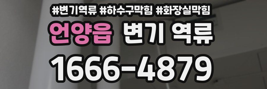 언양읍 변기 역류