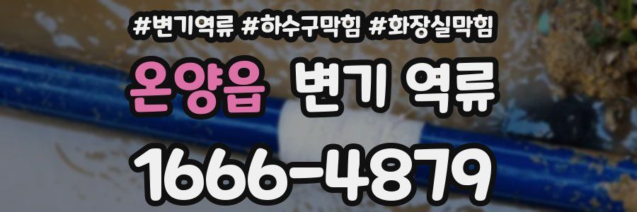 온양읍 변기 역류