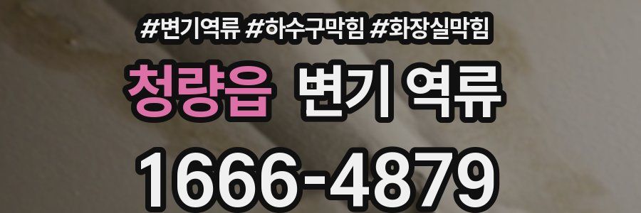 청량읍 변기 역류