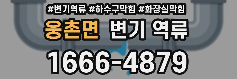 웅촌면 변기 역류