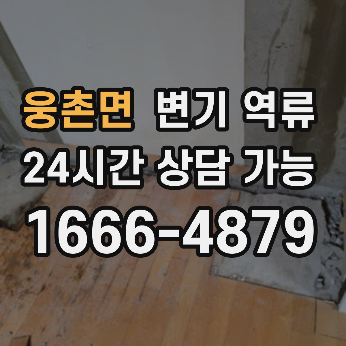 웅촌면 변기 역류