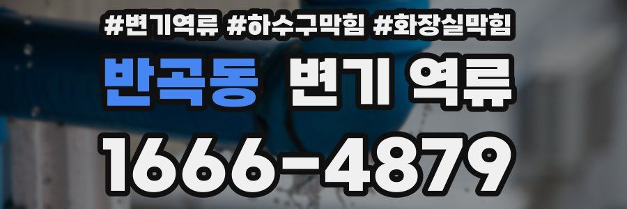 반곡동 변기 역류