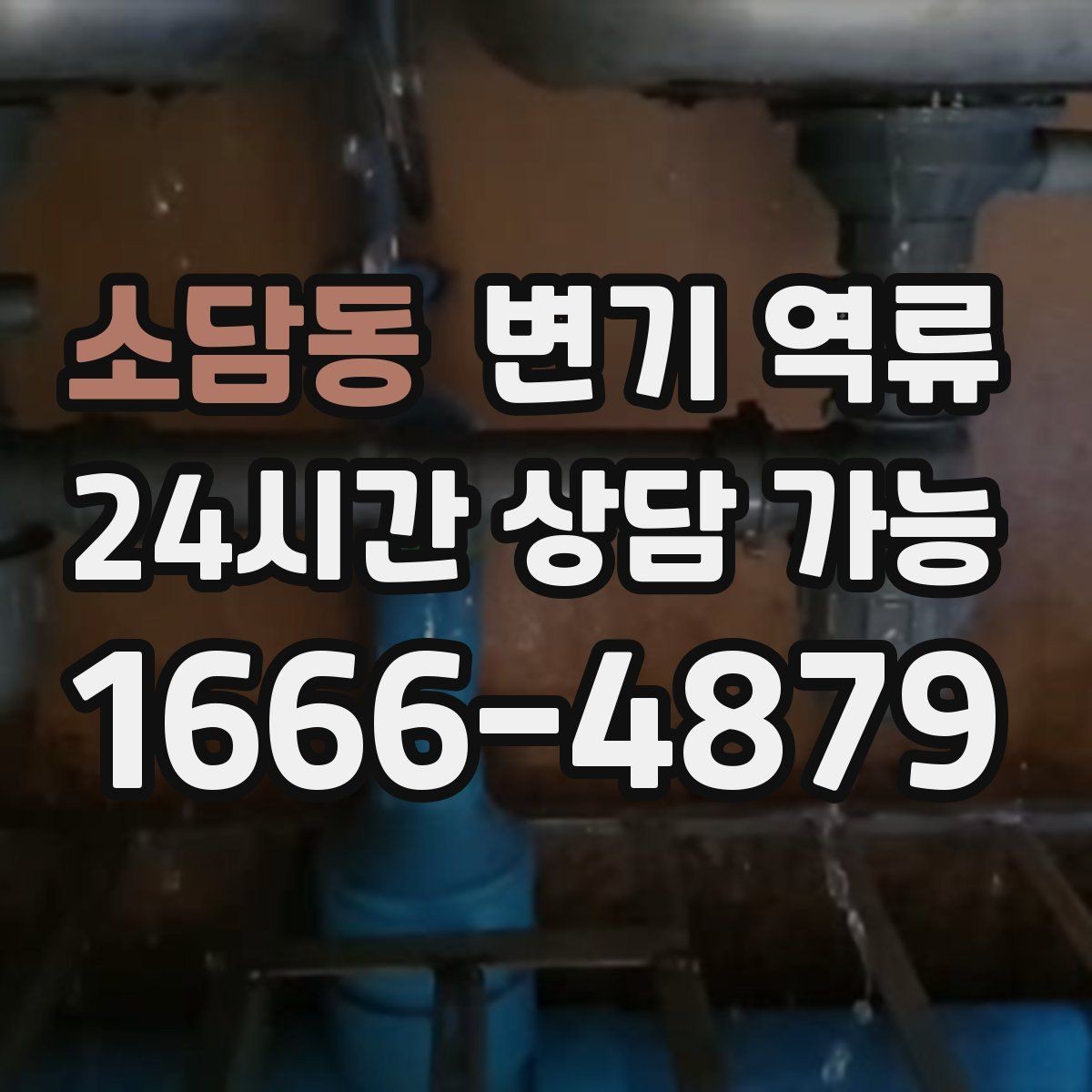 소담동 변기 역류 배관 구조를 모를 때 확인 순서