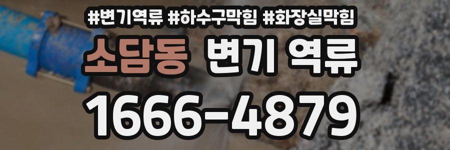소담동 변기 역류