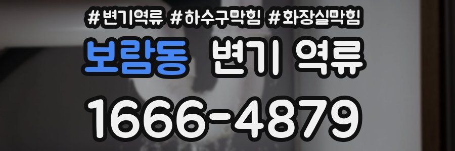 보람동 변기 역류