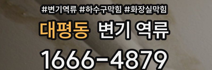 대평동 변기 역류