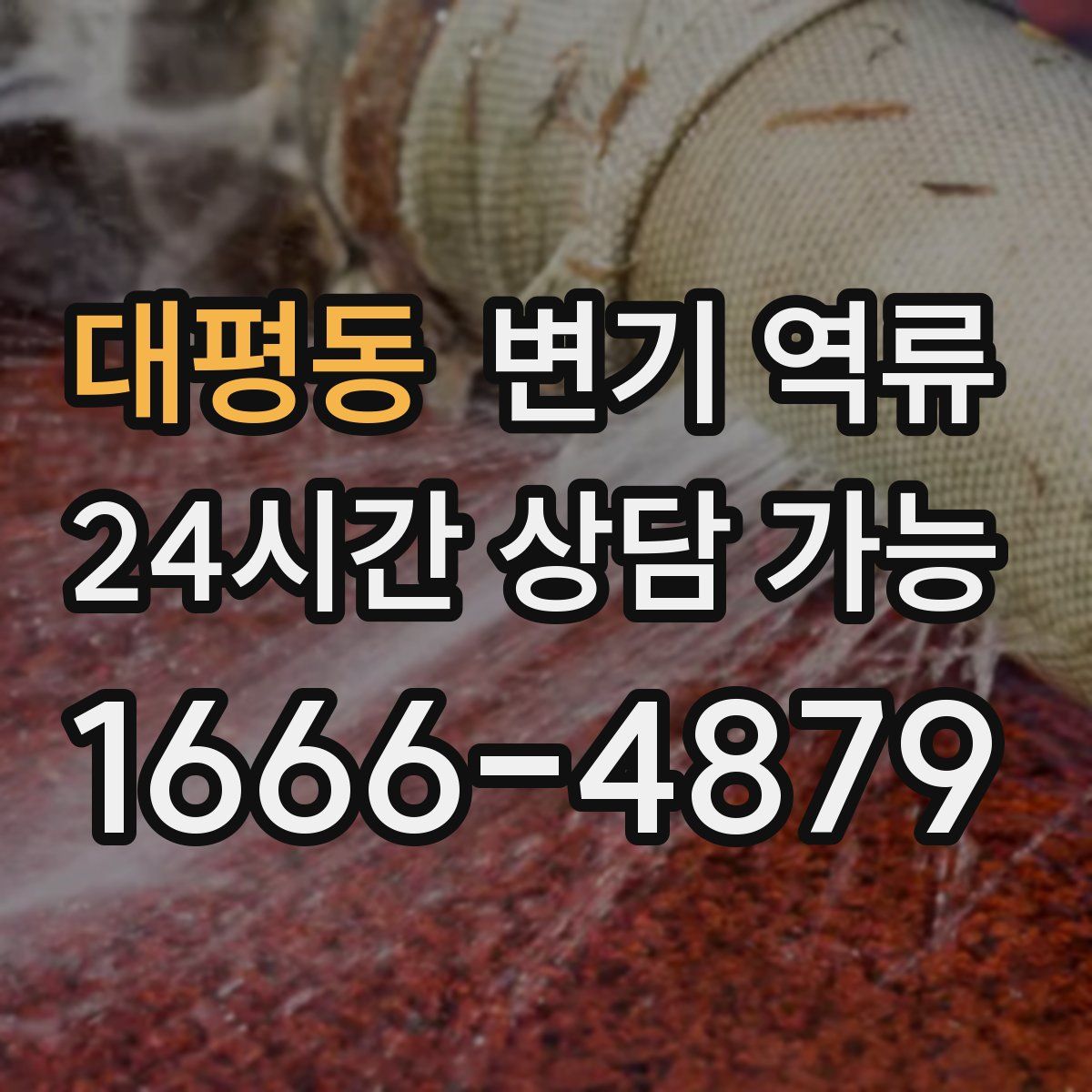 대평동 변기 역류