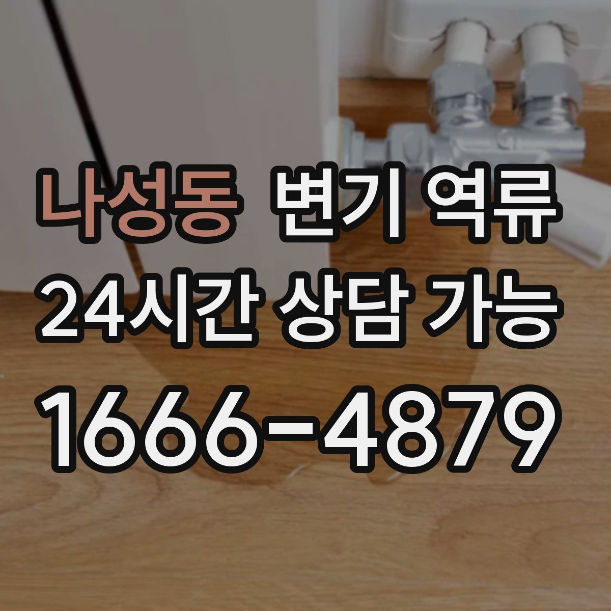 나성동 변기 역류