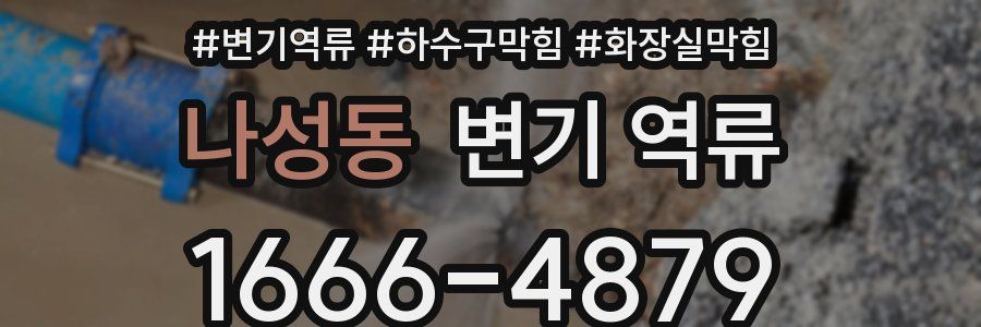 나성동 변기 역류