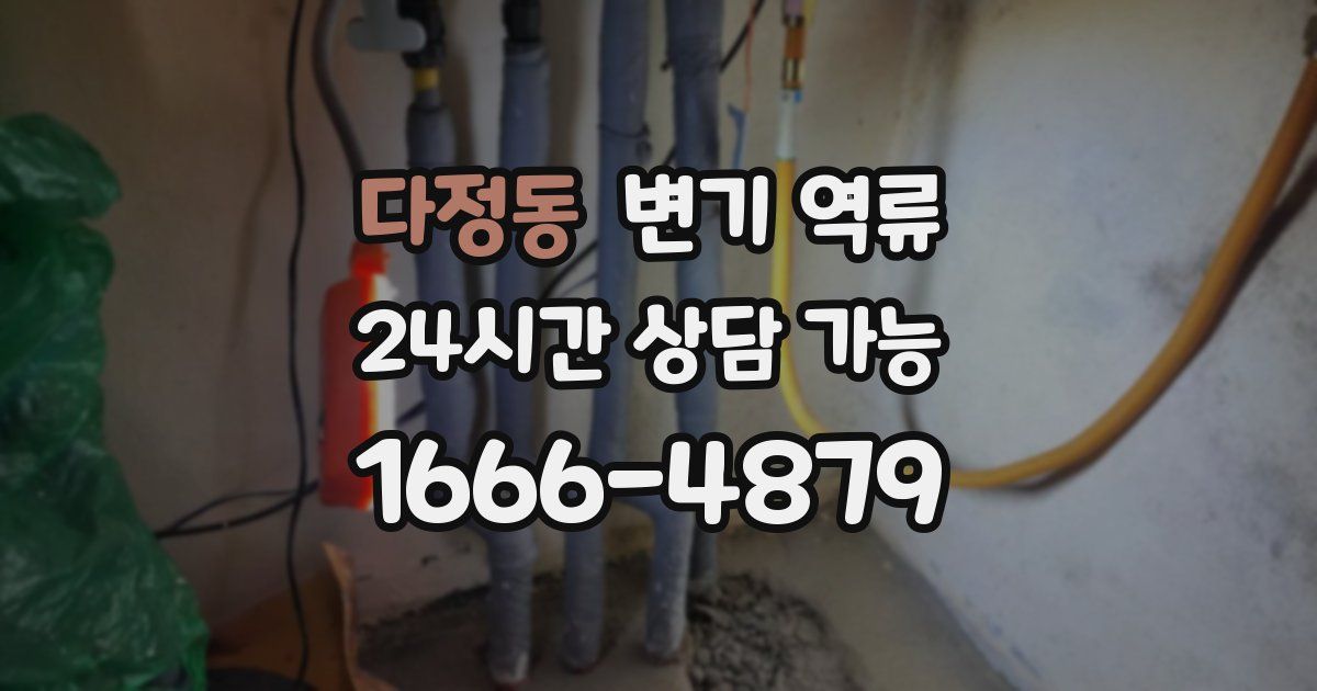 다정동 변기 역류