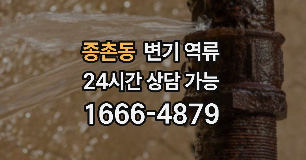 종촌동 변기 역류