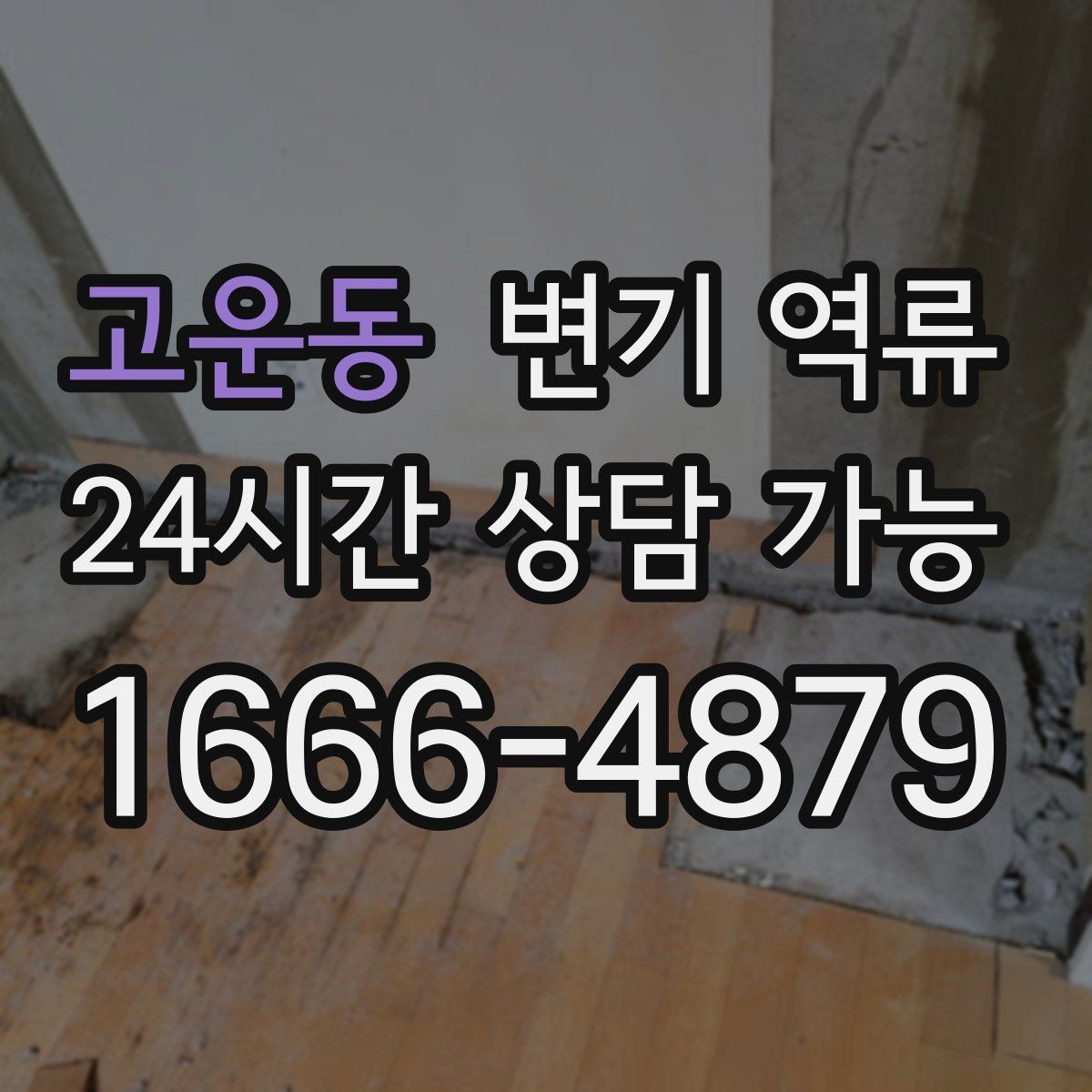 고운동 변기 역류 아이·반려동물 접근을 막아야 하는 이유
