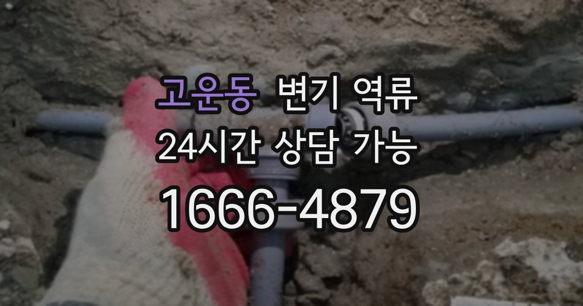 고운동 변기 역류