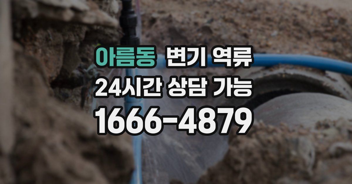 아름동 변기 역류