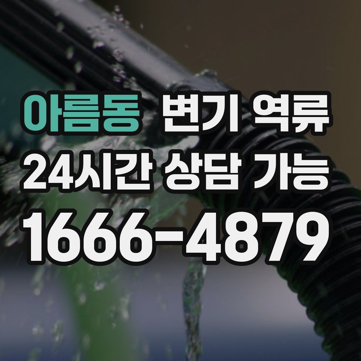 아름동 변기 역류