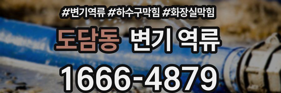 도담동 변기 역류