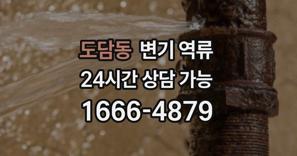 도담동 변기 역류