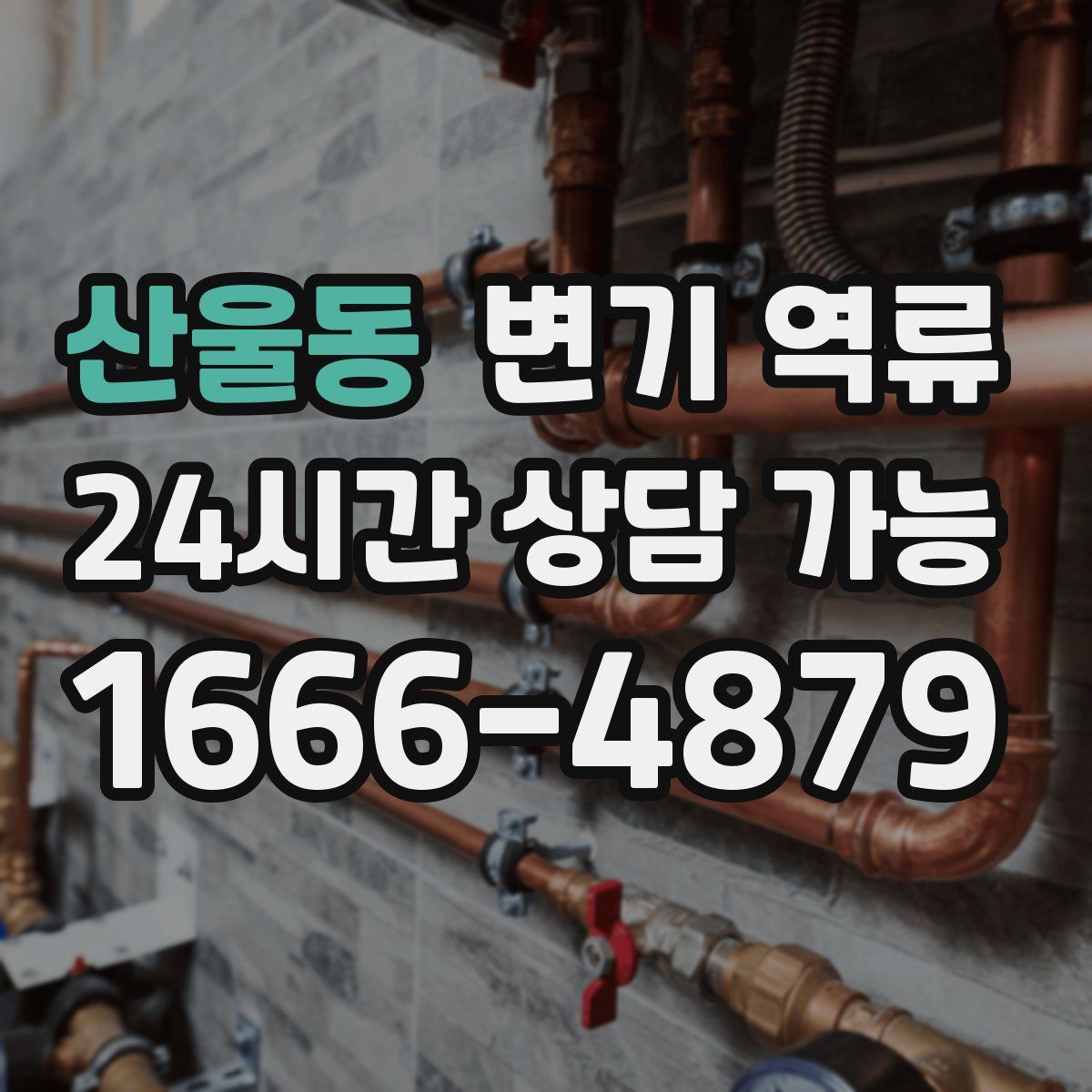 산울동 변기 역류