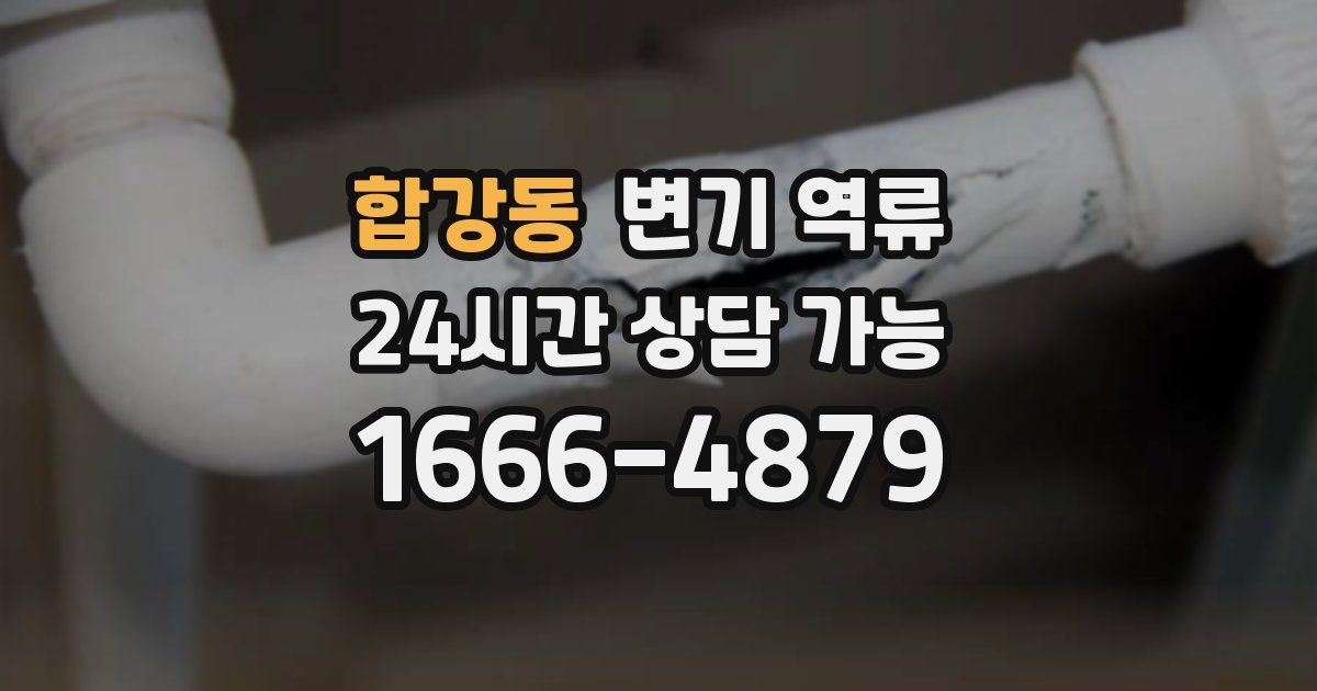 합강동 변기 역류