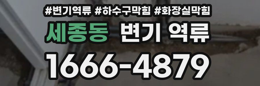 세종동 변기 역류