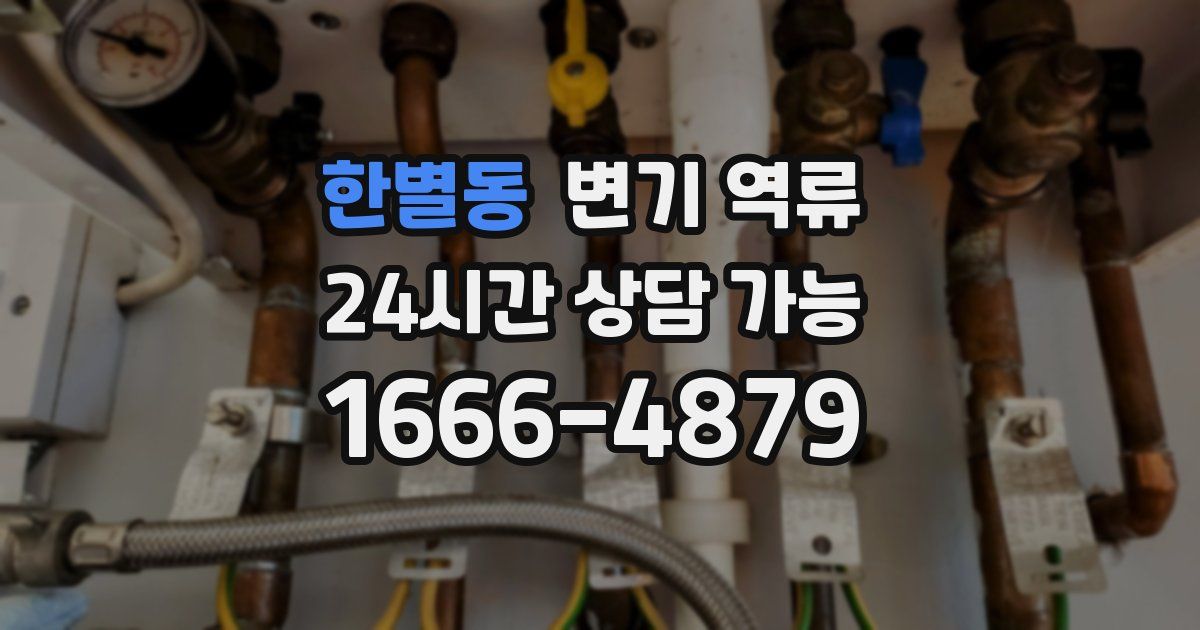 한별동 변기 역류