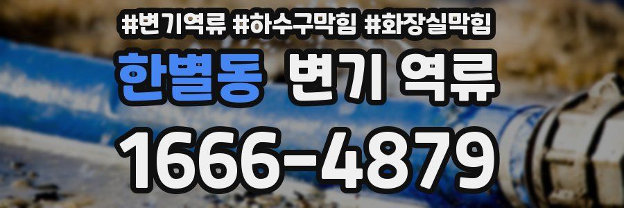 한별동 변기 역류