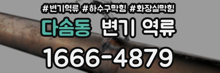 다솜동 변기 역류