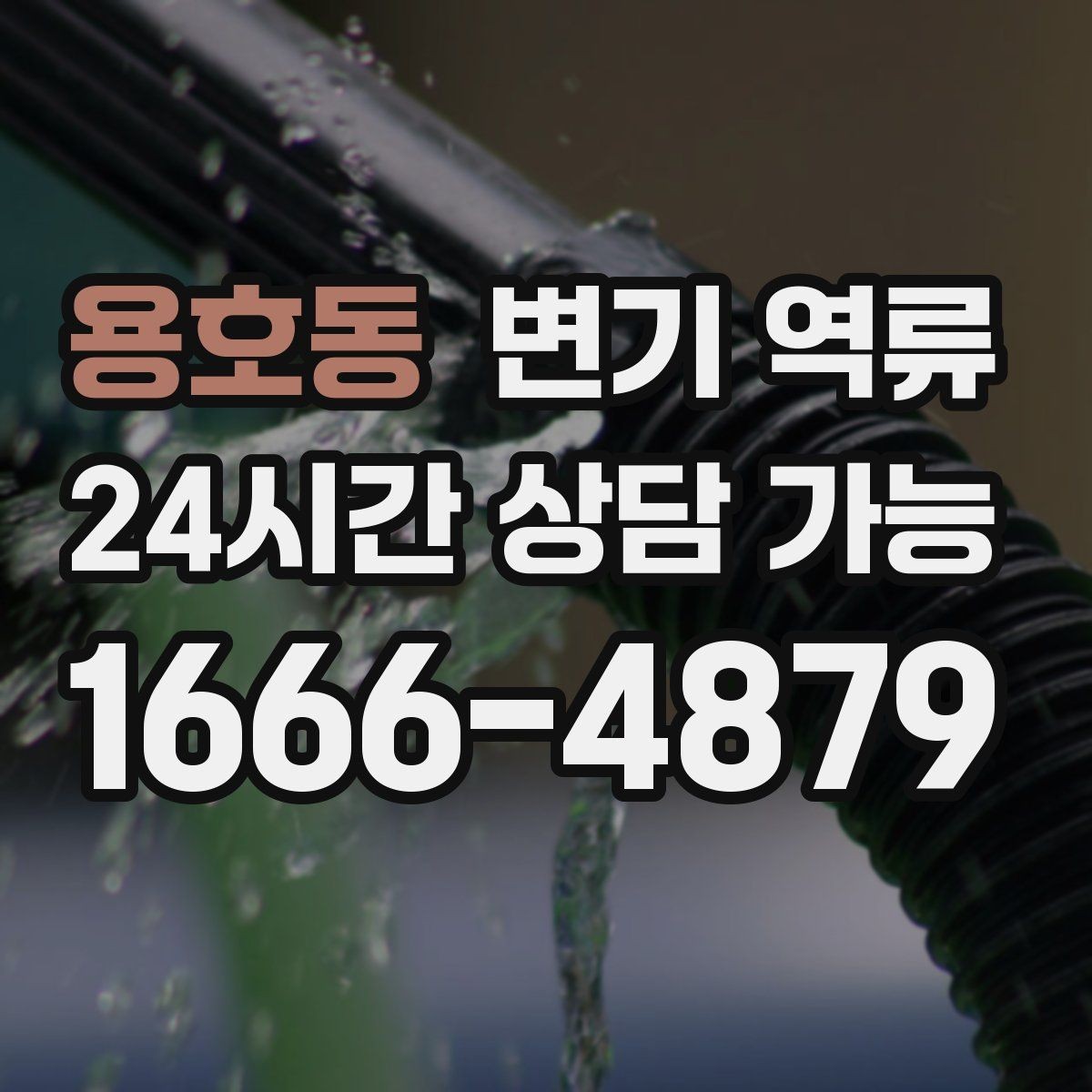 용호동 변기 역류 음식물 찌꺼기가 들어가면 생기는 문제
