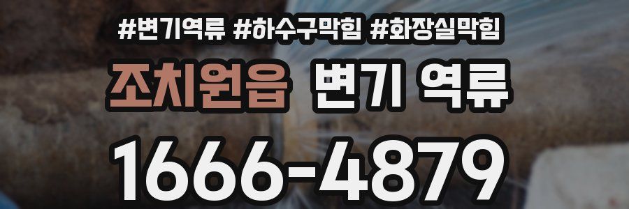 조치원읍 변기 역류