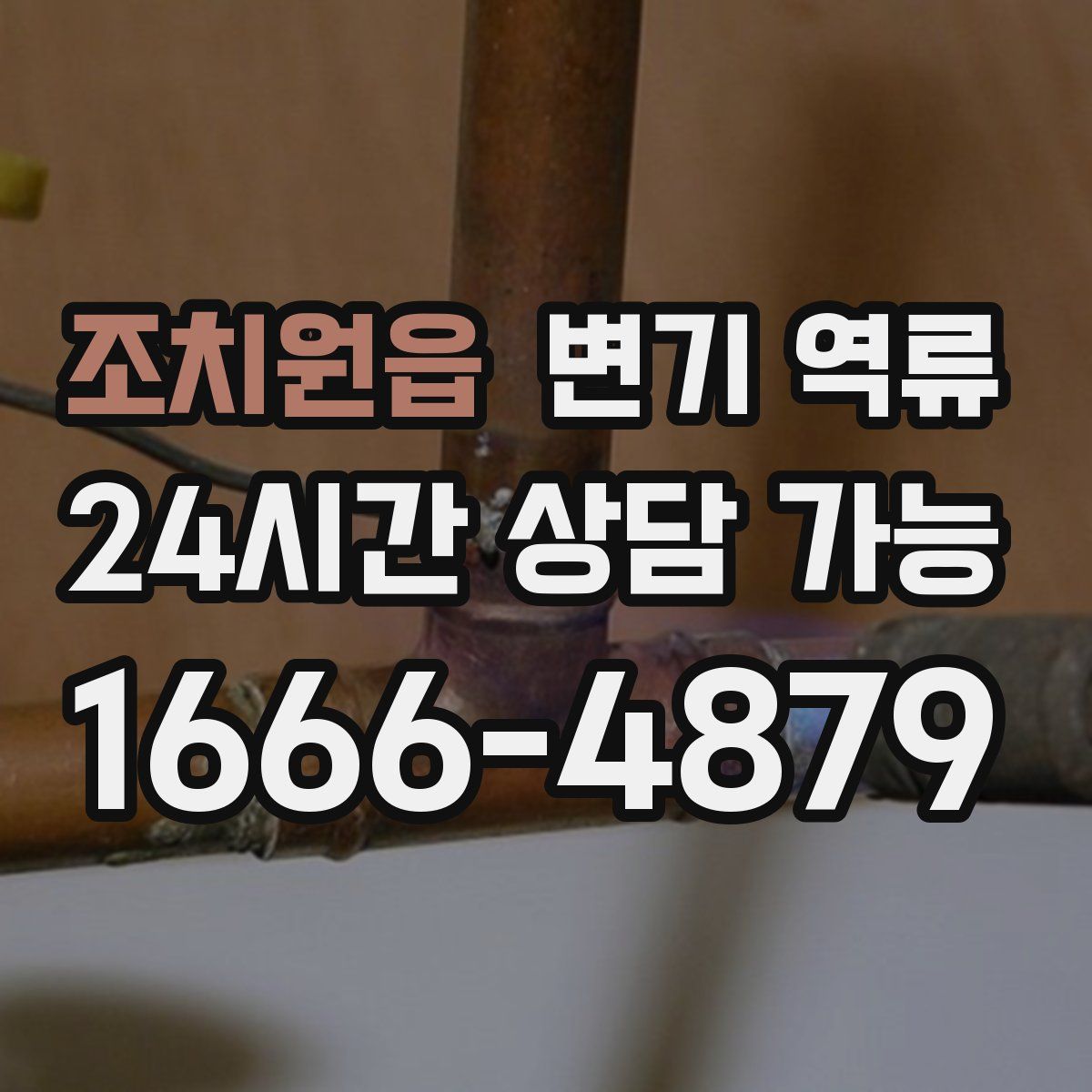 조치원읍 변기 역류