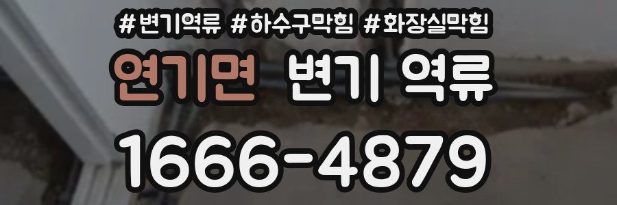 연기면 변기 역류