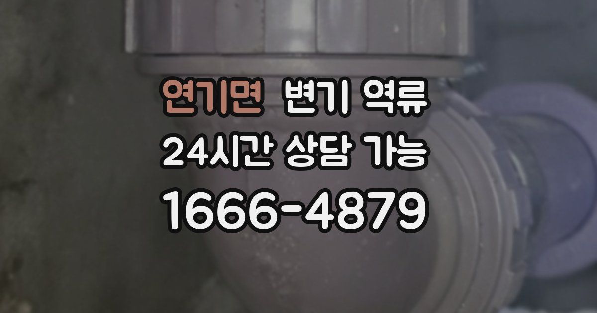 연기면 변기 역류