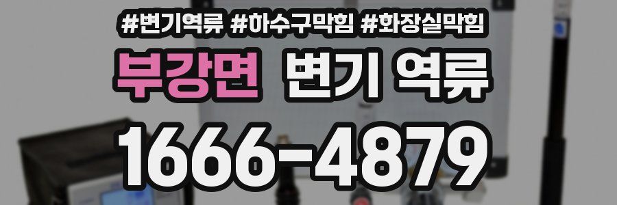 부강면 변기 역류