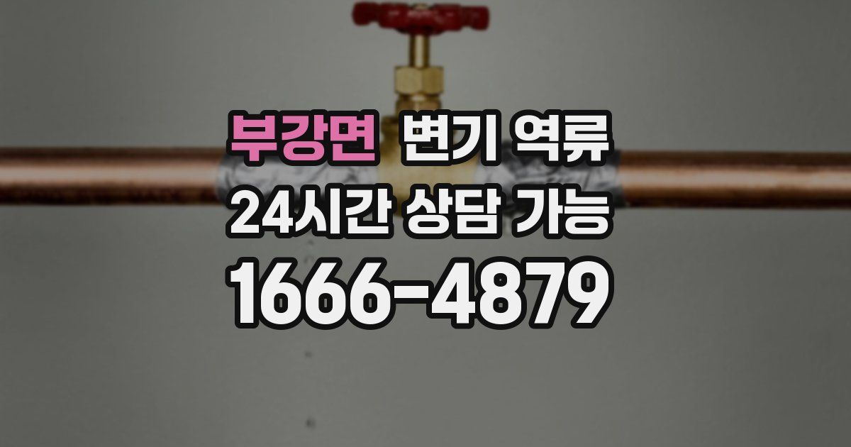 부강면 변기 역류