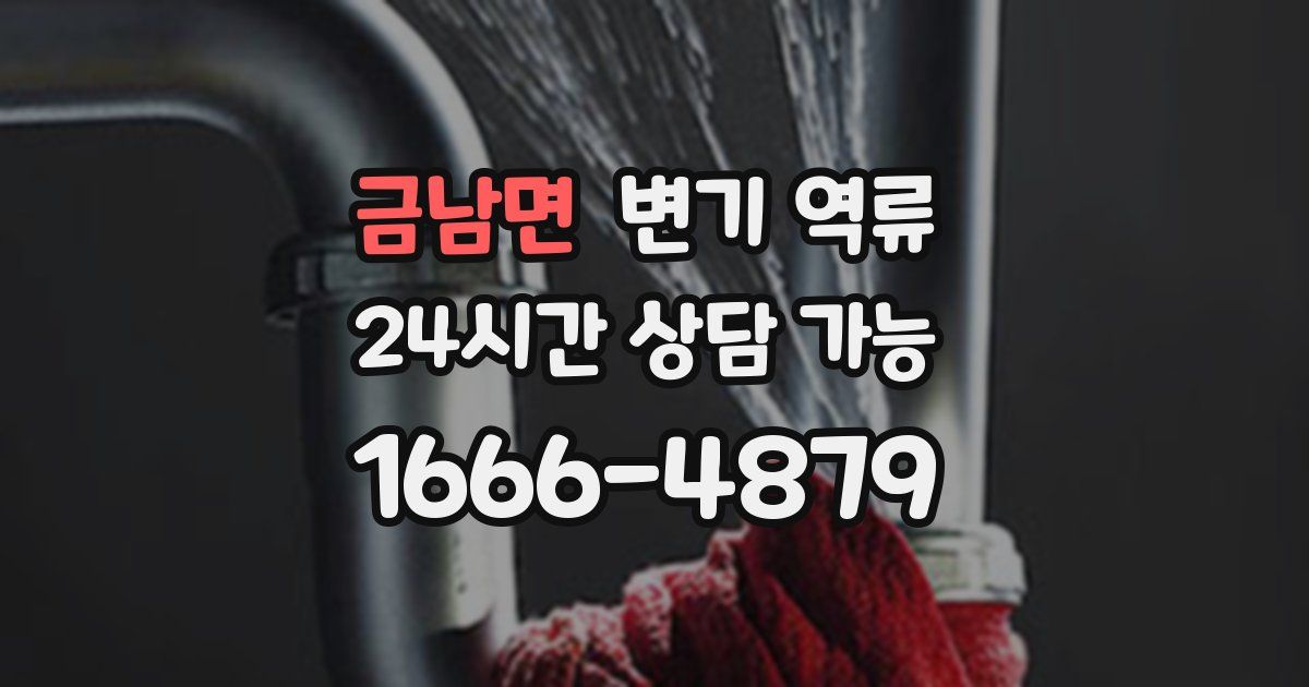 금남면 변기 역류