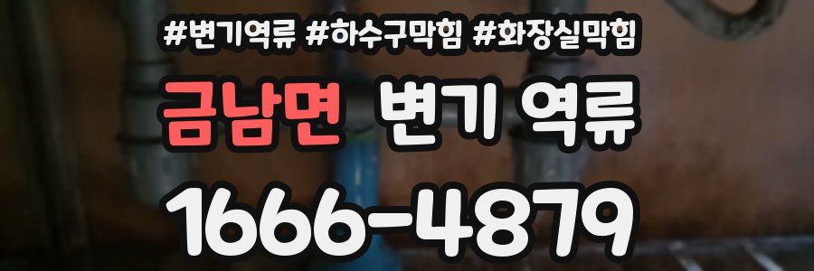 금남면 변기 역류