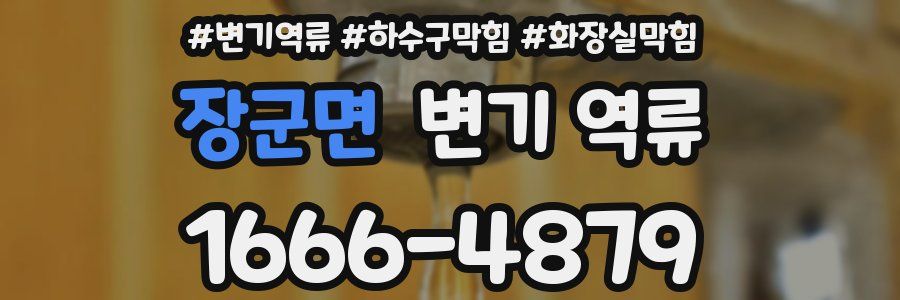 장군면 변기 역류